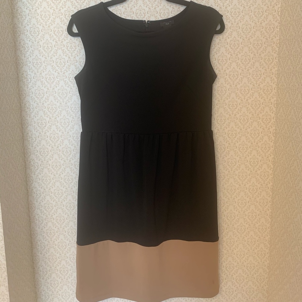 Ann Taylor dress